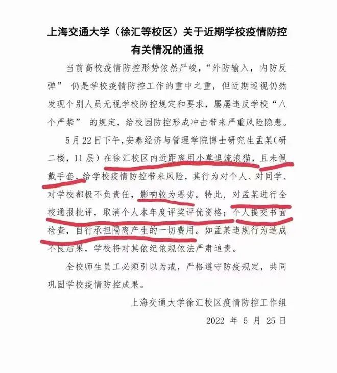 上海交大：博士研究生擅自逗貓，全校通報批評！取消全年評獎評優！