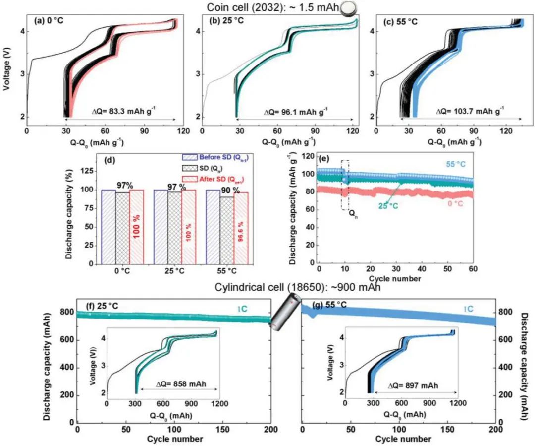電池頂刊集錦：EES、AEM、AFM、Adv. Sci.、EnSM、Small等最新成果