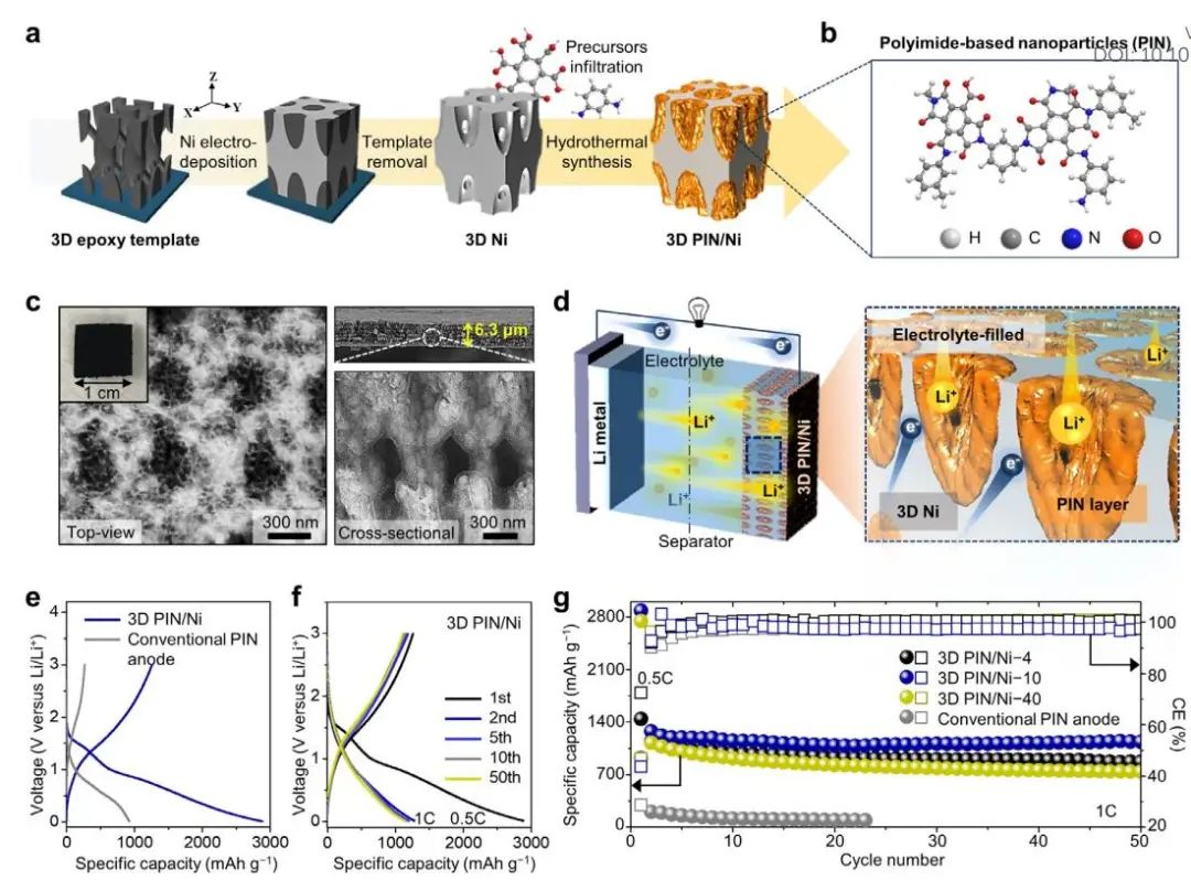 電池頂刊集錦：EES、AEM、AFM、Adv. Sci.、EnSM、Small等最新成果