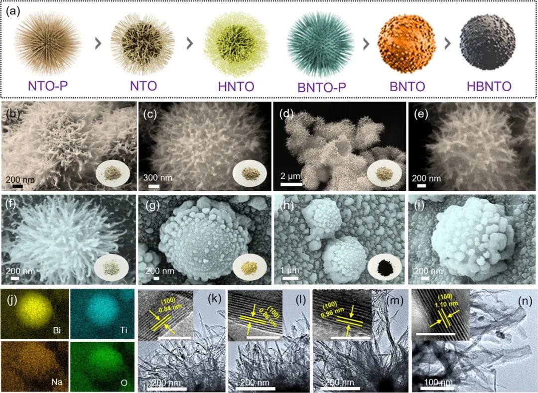 昆士蘭科技大學ACS Nano：通過氧空位和鉍替代實現三維快速鈉離子傳輸