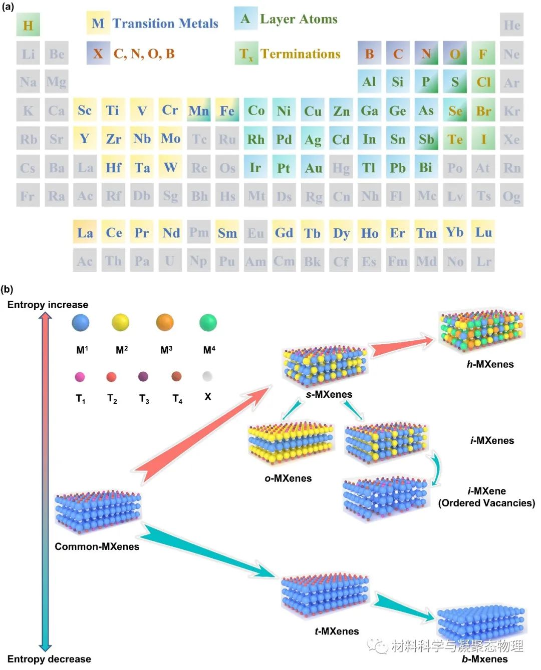 吉林大學最新MXenes綜述:用于下一代技術的制備策略和構效關系的進展與展望