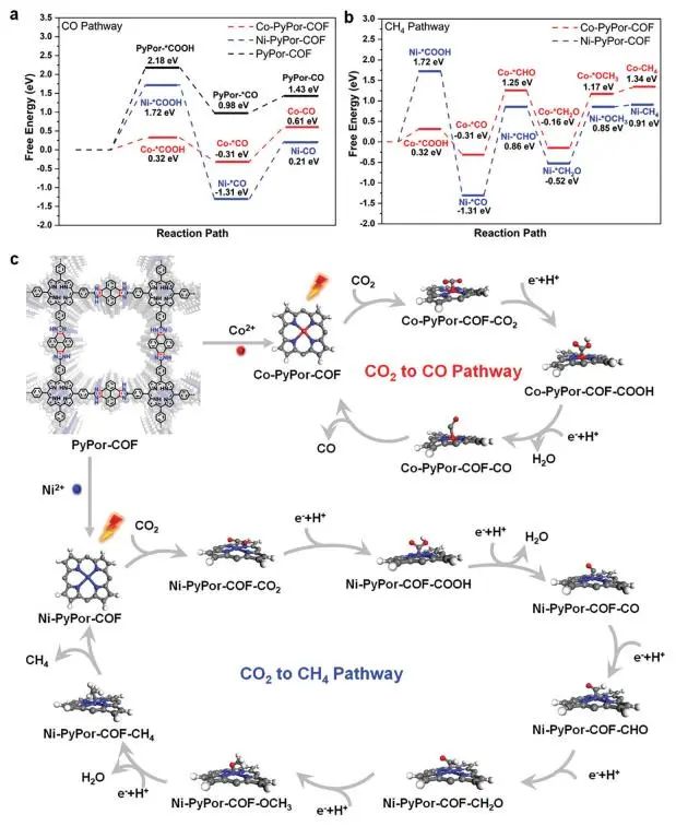 山東大學李培洲Small：提高45倍！M-PyPor-COFs實現高效CO2光還原