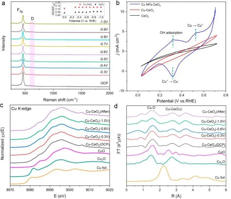?催化頂刊集錦：Nature子刊、Angew.、AFM、ACS Nano、Small等成果