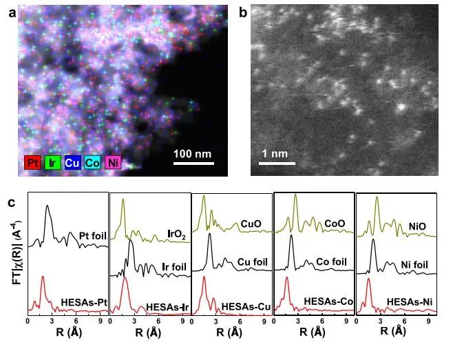 催化頂刊集錦：Nature子刊、JACS、ACS Catal.、AFM、Nano Energy等成果