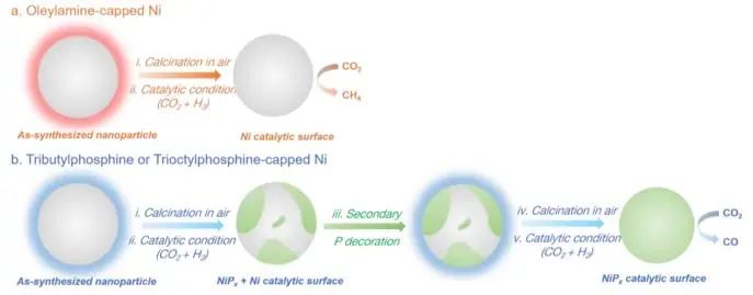 張森/吳張雄/葉逸凡JACS：表面活性劑調節Ni納米粒子表面演化，實現高選擇性CO2加氫制CO