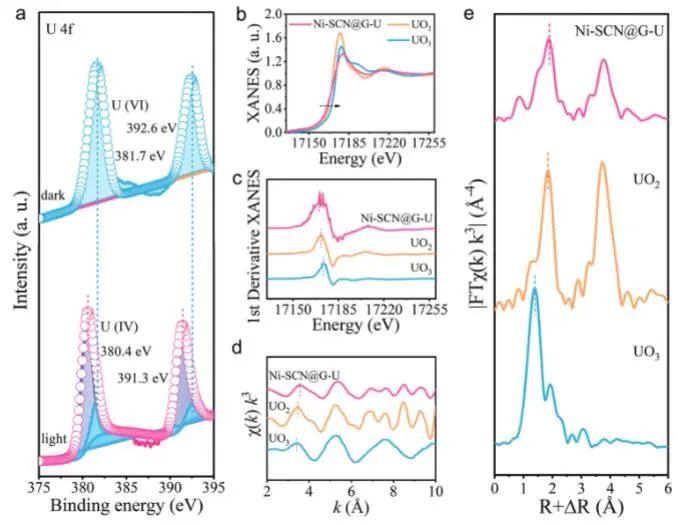 催化頂刊集錦：Nature子刊、JACS、Angew.、AFM、Nano Letters、ACS Catal.等成果