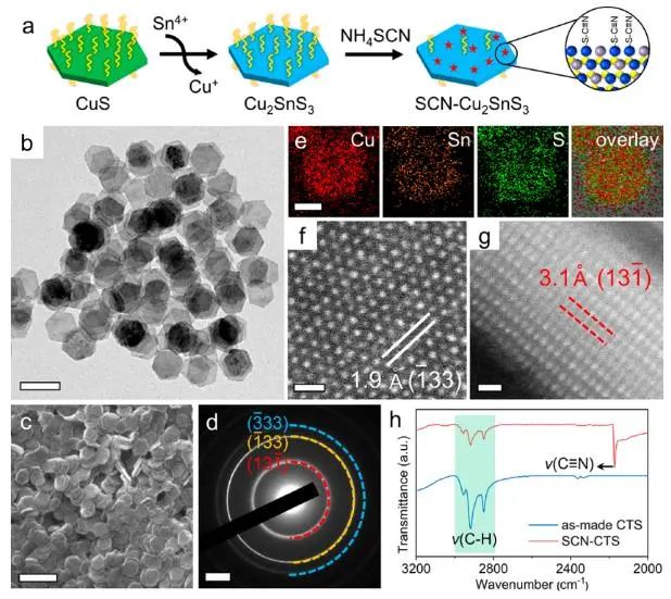 催化頂刊集錦：Nature子刊、JACS、Angew.、AFM、Nano Letters、ACS Catal.等成果