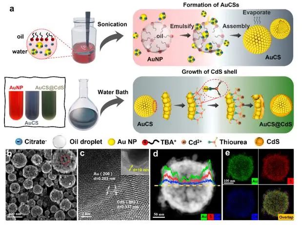 催化頂刊集錦：Angew.、EES、JACS、Chem、ACS Catal.、ACS Nano、Nano Lett.等
