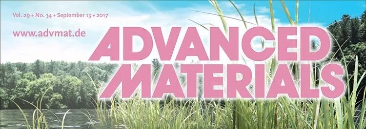 材料頂刊Advanced Materials，接連三篇撤稿!