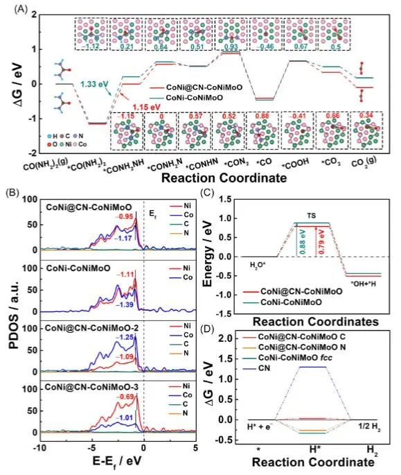催化頂刊集錦：Nature子刊、EES、AM、EnSM、Carbon Energy、Small等成果