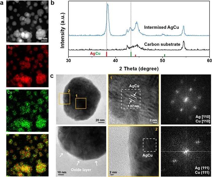 楊培東院士，最新JACS！