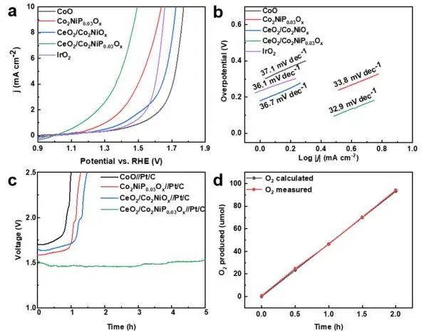 催化頂刊集錦：Nature子刊、JACS、AFM、ACS Catalysis、Nano Energy等