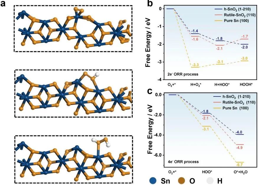 8篇頂刊速遞：Nature子刊、JACS、Angew、AM、AEM、AFM等計算+實驗成果