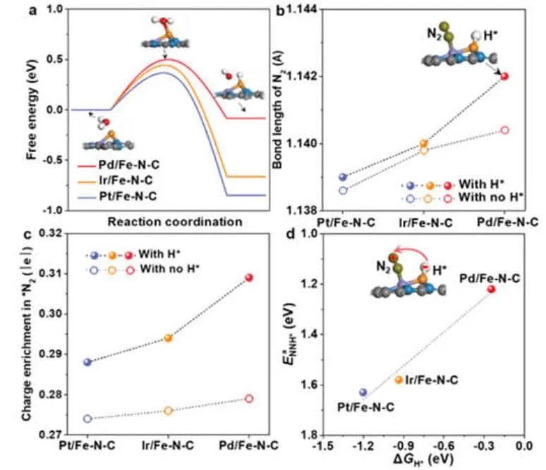 8篇頂刊速遞：Nature子刊、JACS、Angew、AM、AEM、AFM等計算+實驗成果