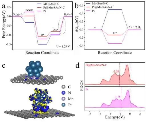 催化頂刊集錦：Nature子刊.、Angew.、JACS、ACS Catalysis、AFM、Small等成果
