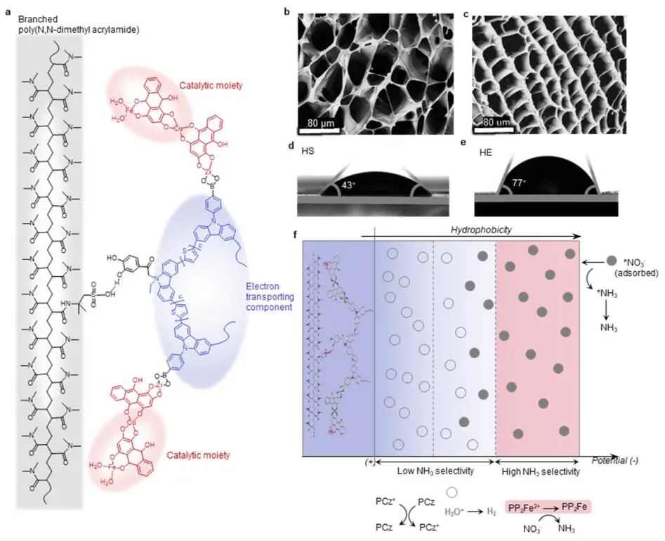 計算文獻速遞：Nature Catalysis、EES、JACS、Chem、EnSM、Nat. Commun.等！