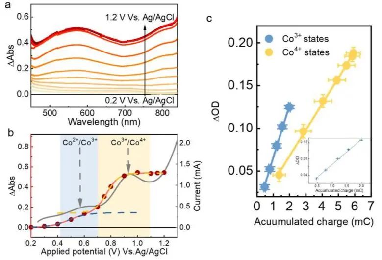 催化頂刊集錦：JACS、Nature子刊、ACS Catal.、AFM、Small、Carbon Energy等最新成果！