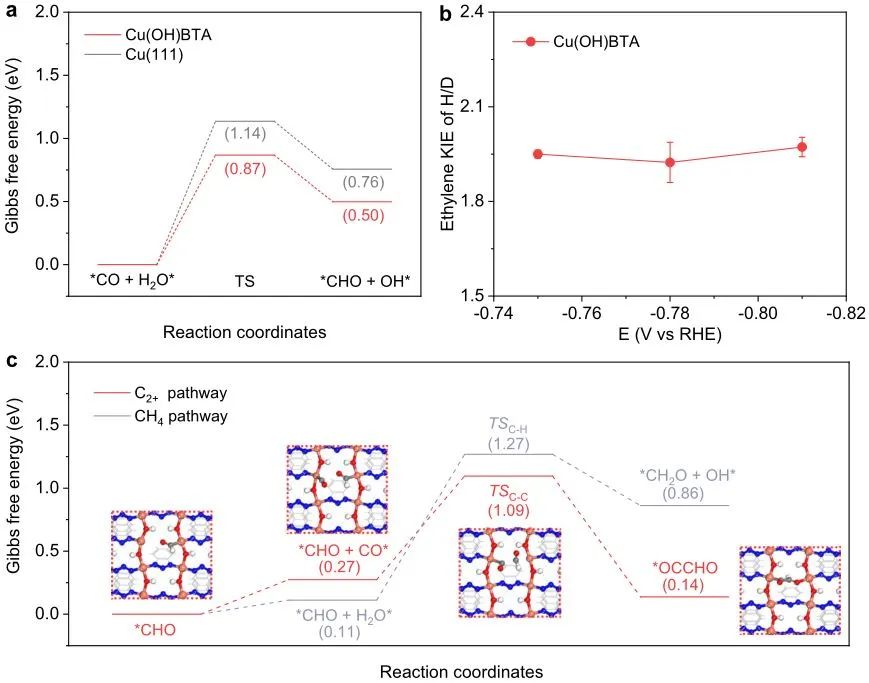 ?計算+實(shí)驗(yàn)頂刊：Nature子刊、AFM、AEM、Small、ACS Catalysis等成果精選！