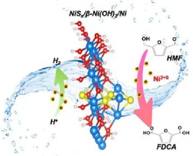 ?上硅所/華科AM：β-Ni(OH)2電極的S物種激發的高價Ni2+δ選擇性氧化5-羥甲基糠醛