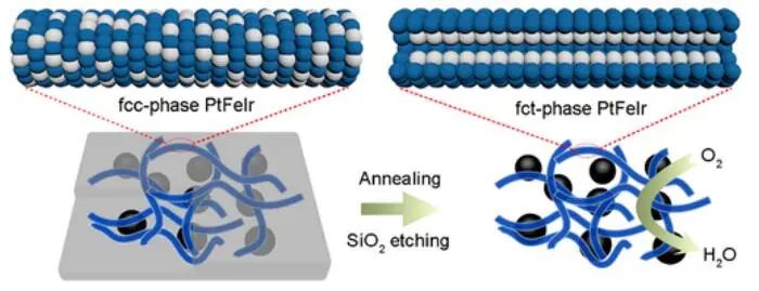 ?被引3W+，H因子96，Science Bulletin副主編！張鐵銳團隊2022年度成果精選！