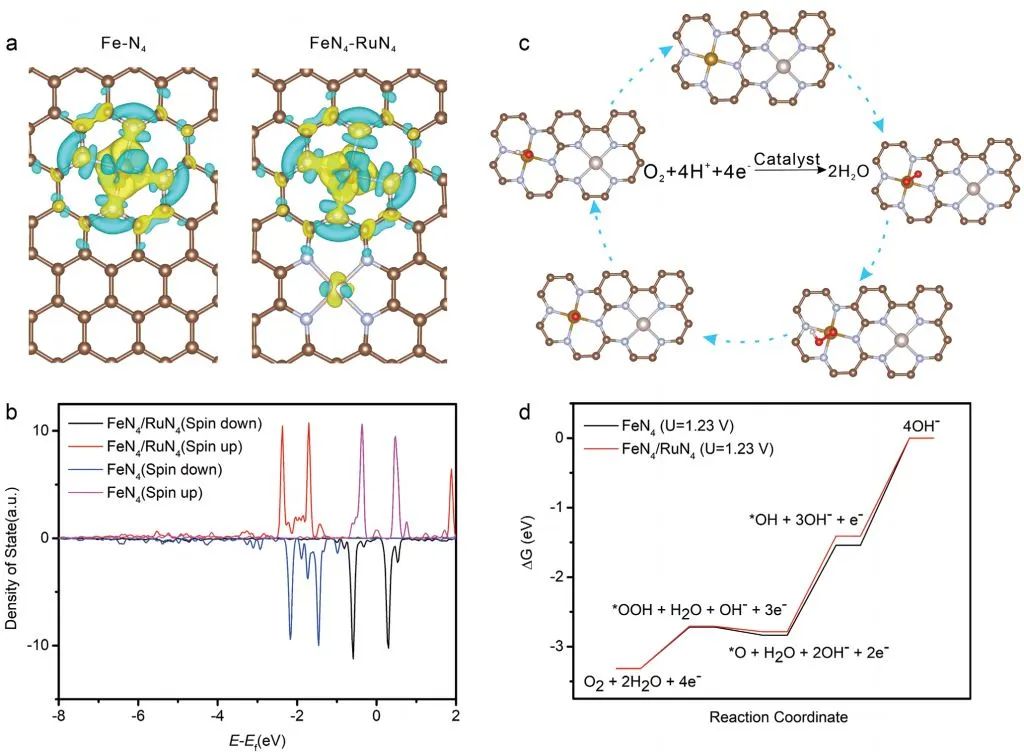 【計(jì)算+實(shí)驗(yàn)】頂刊集錦：3篇Angew 、3篇ACS Catalysis、2篇Small等最新成果精選！