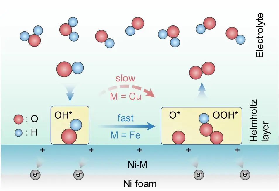 西湖大學Angew：FE和產率近100%！Ni-Cu/NF高效催化生物質轉化