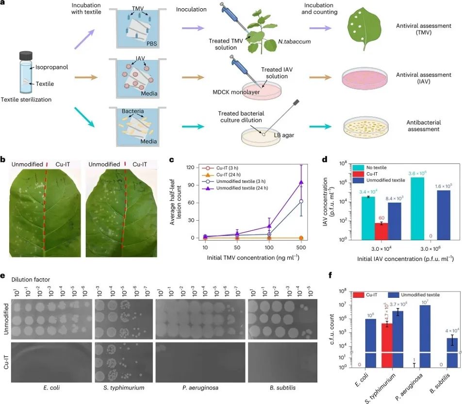 胡良兵團隊，最新Nature Nanotechnology！