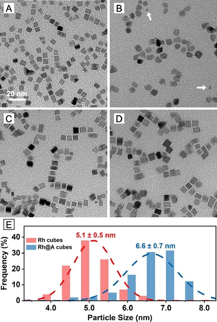 他，第53篇JACS！