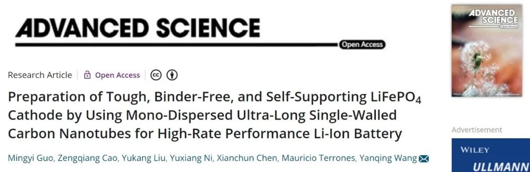 四川大學(xué)王延青Adv. Sci.：利用單分散超長單壁碳納米管制備自支撐LiFePO4正極