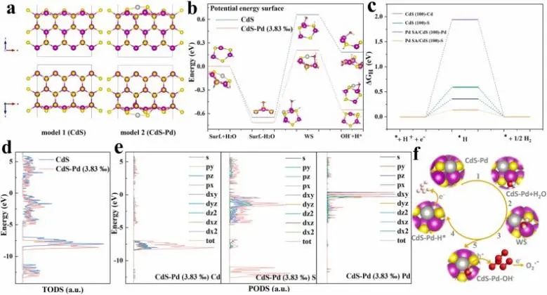 8篇催化頂刊：JACS、ML、JMCA、Small Methods、Small、Appl. Catal. B.等成果