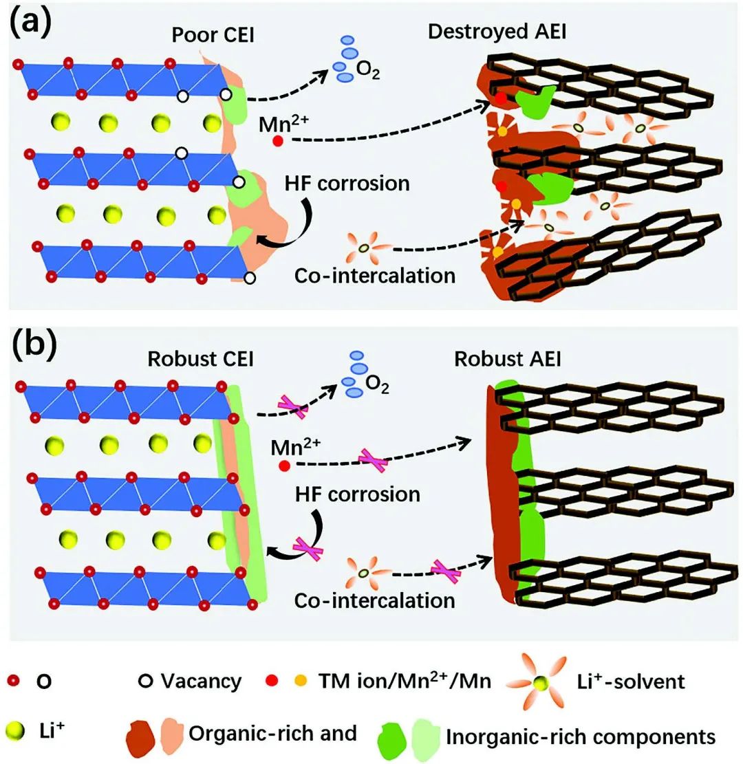 電池頂刊集錦：EES、Adv. Sci.、Angew、AEM、AFM、ACS Nano、Nano Energy等成果！