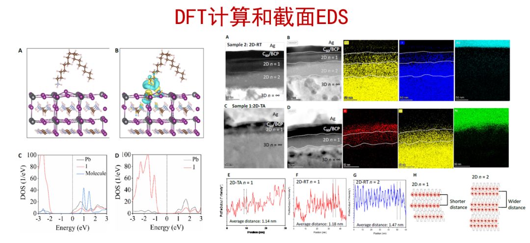 精彩絕倫！‘鈣幫’圍攻光明頂：五行八卦掌發Nature，降龍十八掌發Science！
