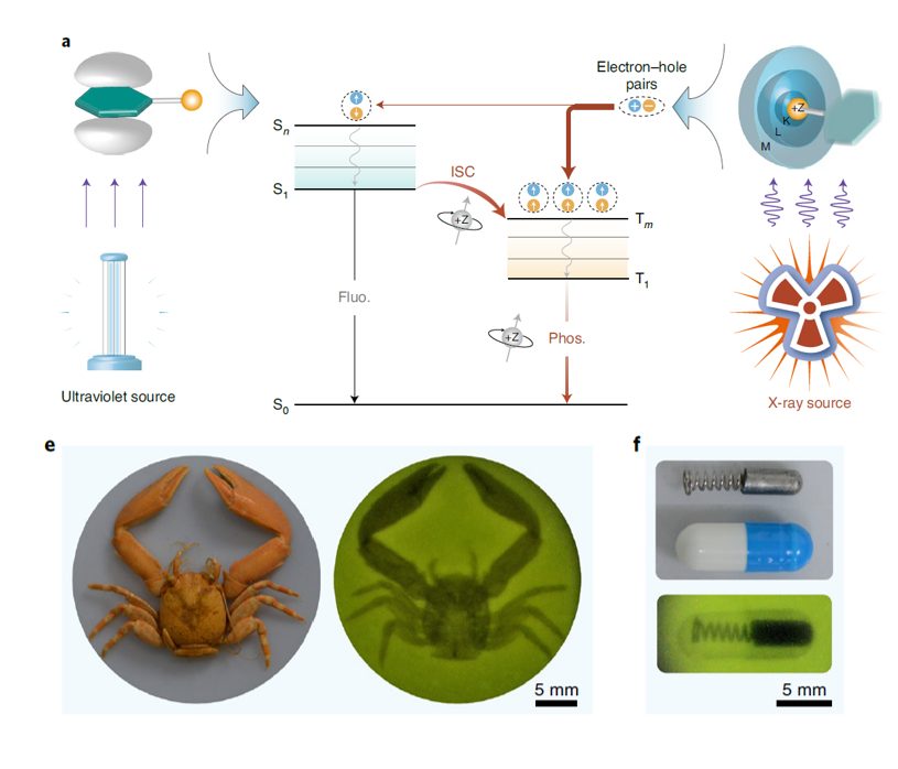 1篇Science+6篇Nature子刊，六院院士黃維的2021年！