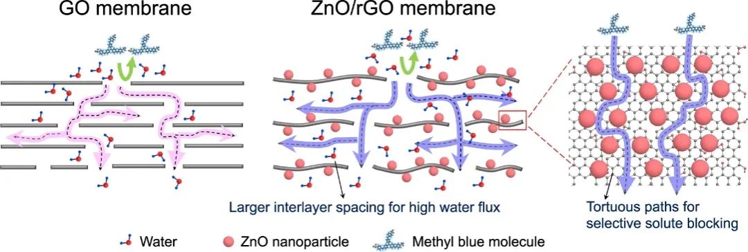龍東輝&牛波Nature子刊：選擇性98%、通用策略！rGO基納米復合材料助力納濾膜