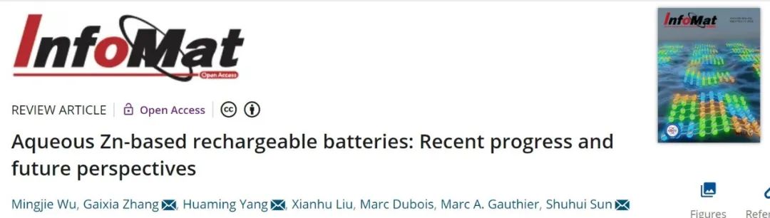 InfoMat：水系鋅基可充電池：最新進展和未來展望