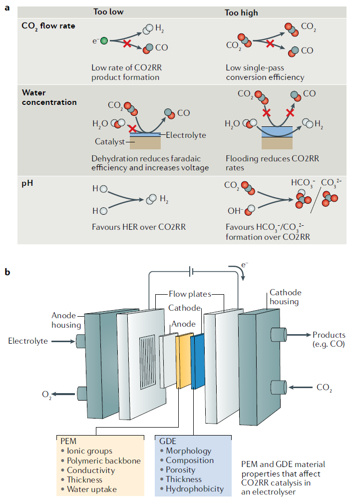 IF超過66，Nature Reviews Materials最新綜述：高效CO2RR電解槽該如何設(shè)計？