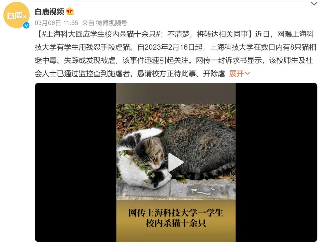 網曝！知名高校一學生殘忍虐殺校貓，上千名師生聯合上書要求嚴懲兇手，學校回應！