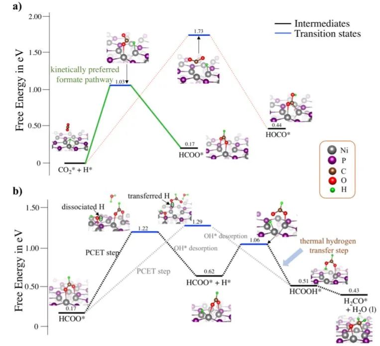 催化頂刊集錦：ACS Catalysis、Small、Nano Energy、NML、Appl. Catal. B.等成果