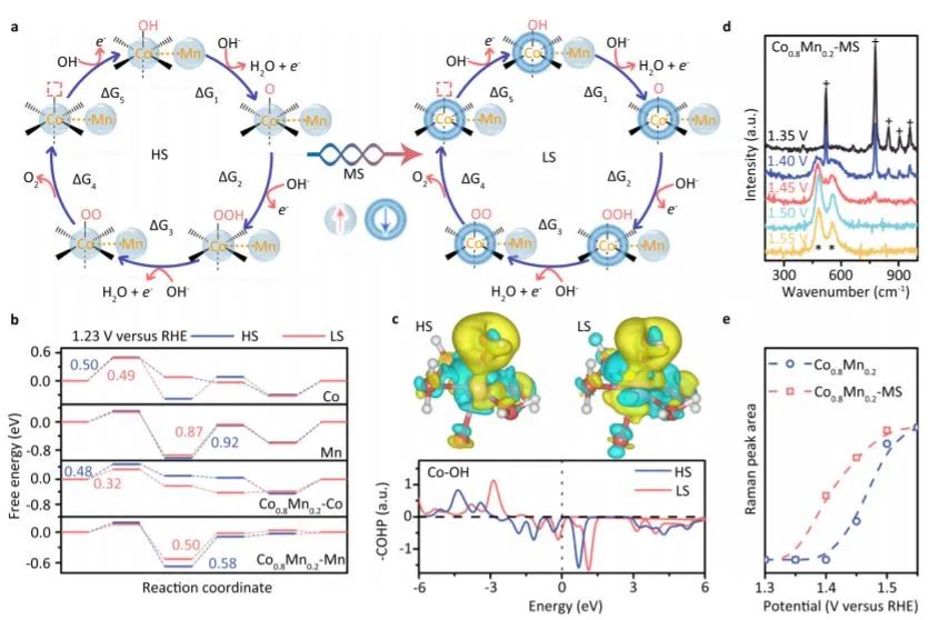 催化頂刊集錦：Nature子刊、JACS、ACS Catal.、ACS Nano、Nano Energy等成果