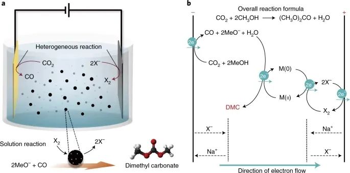 Nature Energy：氧化、還原，全部都要！讓CO2不只再是CO2RR