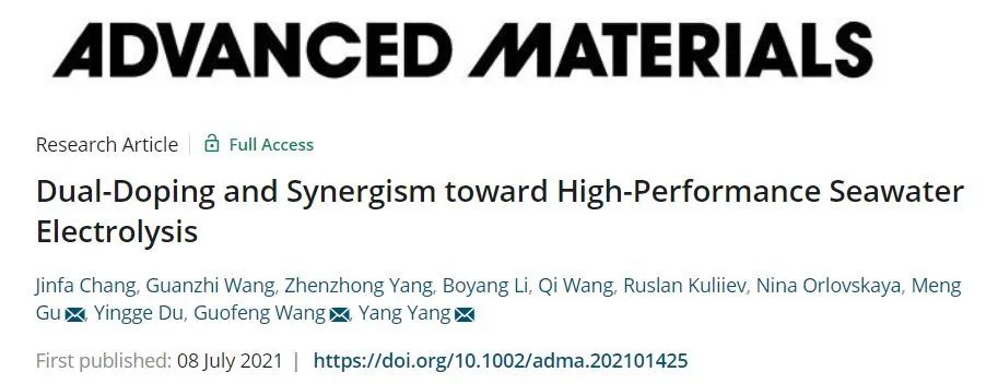 楊陽/王國鋒/谷猛AM: 雙摻雜和協(xié)同作用用于高效海水電解