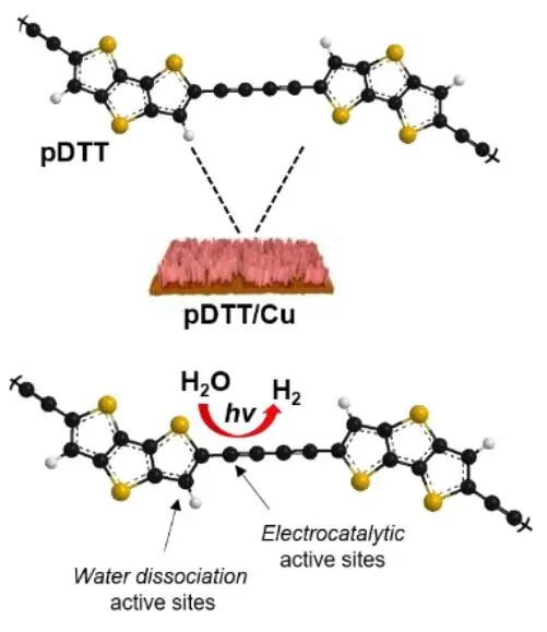 ?Angew.：雙活性位點的噻吩基共軛乙炔聚合物在堿性介質中高效光電化學水還原
