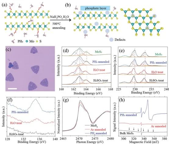 催化頂刊集錦：AM、Angew.、AFM、ACB、Nano Energy、ACS Nano/CEJ等成果！