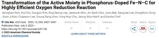 ACS Catalysis：磷摻雜Fe-N-C中活性部分的轉變實現高效氧還原反應