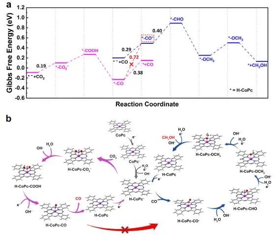 催化頂刊集錦：Nature子刊、JACS、ACS Catal.、AFM、Nano Energy等成果