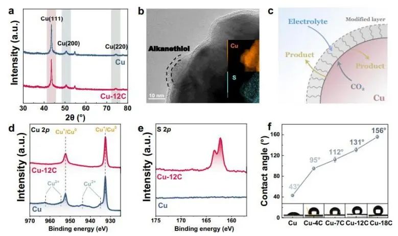 催化頂刊集錦：Nature子刊、JACS、Angew.、AFM、Nano Letters、ACS Catal.等成果