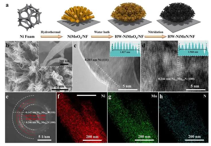催化頂刊集錦：Nature子刊、JACS、ACS Nano、ACS Energy Lett.、AFM、NML等成果
