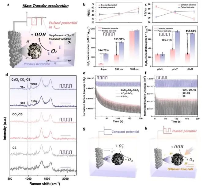 催化頂刊集錦：Nature子刊、JACS、ACS Nano、ACS Energy Lett.、AFM、NML等成果