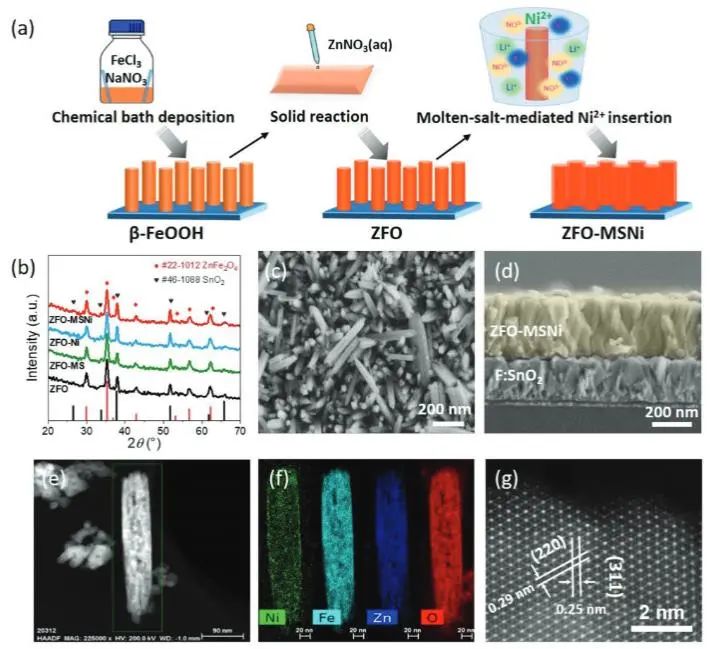 催化頂刊集錦：JACS、Nature子刊、Adv. Sci.、Nano Energy、ACS Nano等
