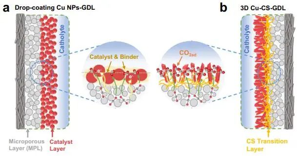 韓布興/朱慶宮Nature子刊：構(gòu)建三維Cu-殼聚糖-氣體擴散層電極，實現(xiàn)高效CO2電解制C2+醇